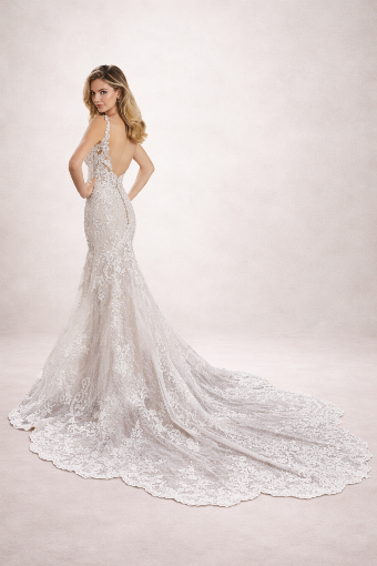 Martin Thornburg #221209W #0 default Ivory/Light Champagne thumbnail