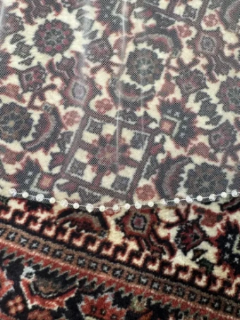 Private Label V173 #1 default Ivory thumbnail